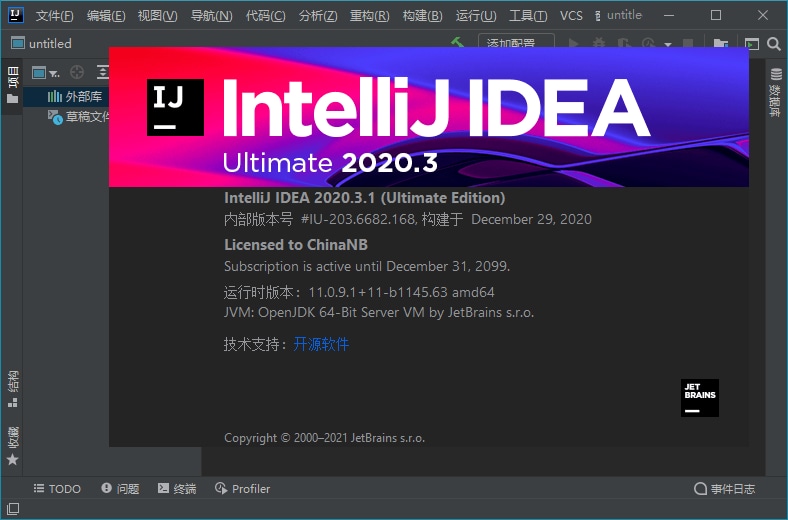 IntelliJ IDEA 2020.3.3 Ultimate 永久旗舰版-无痕哥
