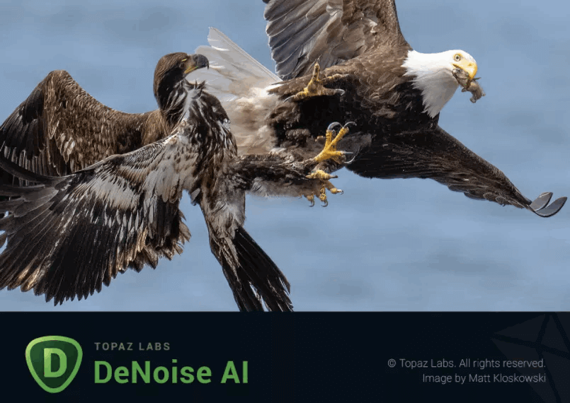图像降噪软件Topaz DeNoise AI破解版 3.7.2-无痕哥