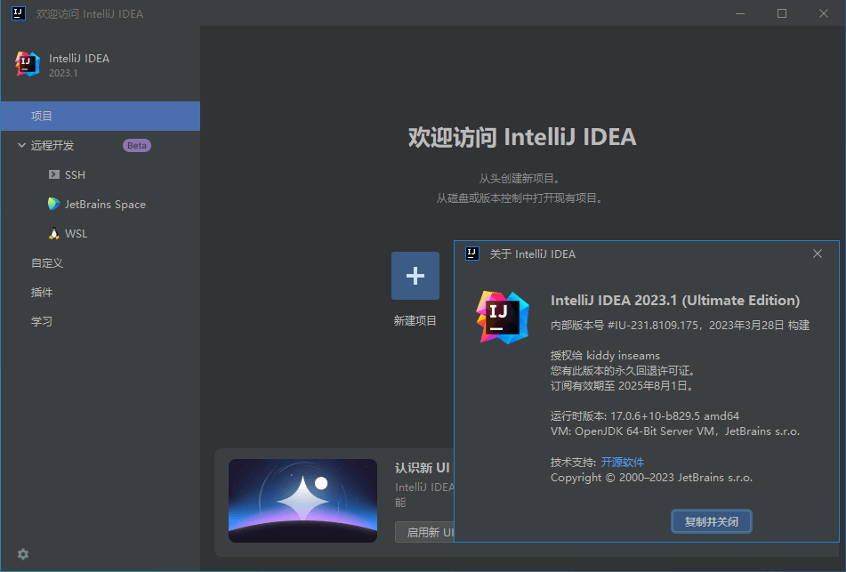 IntelliJ IDEA 2023.1.2 IDEA2023中文激活版-无痕哥
